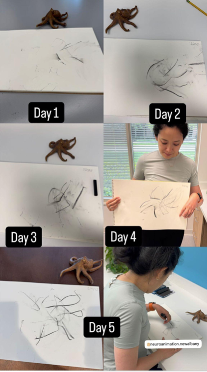 Renewing my Commitment to Rehab for Stroke Awareness Month