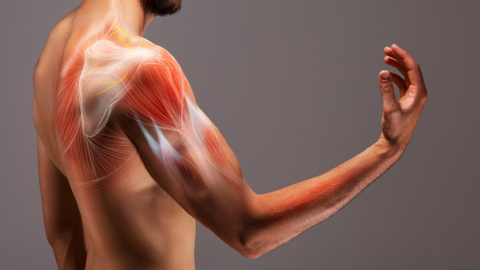 muscle recovery